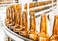 Beer and Yeast Industry