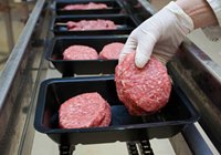 Meat Industry